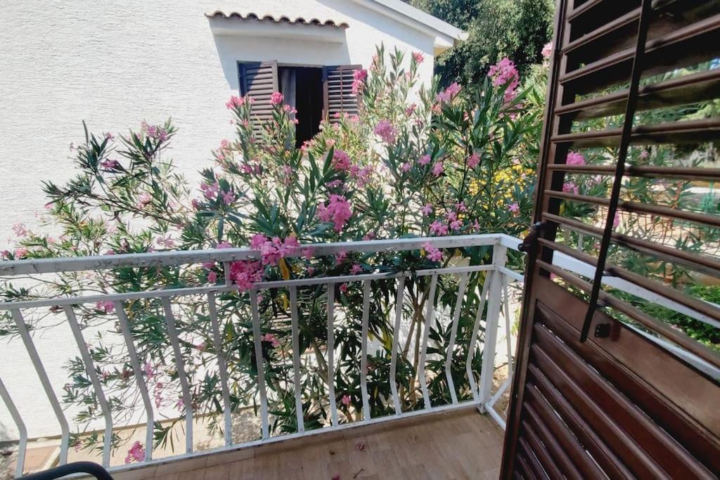 Casa Blanca, Biograd Na Moru Lägenhet Exteriör bild