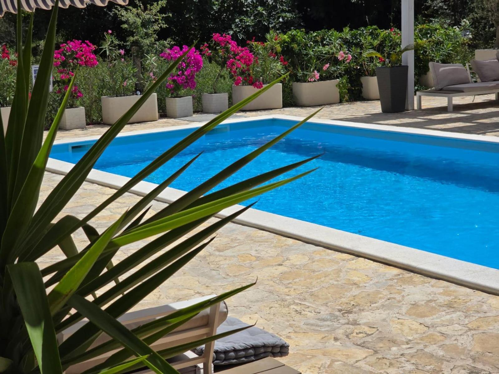 Casa Blanca, Biograd Na Moru Lägenhet Exteriör bild